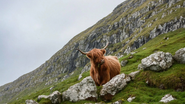 Brecon Beacons National Park